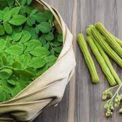 MORINGA STICK