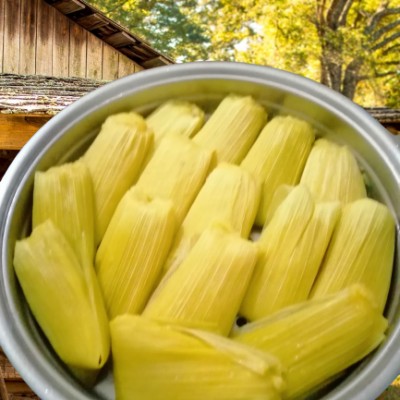 PREMIUM PAIS JAGUNG