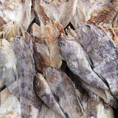 ikan masin kerapu