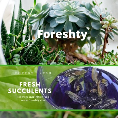 FORESHTY