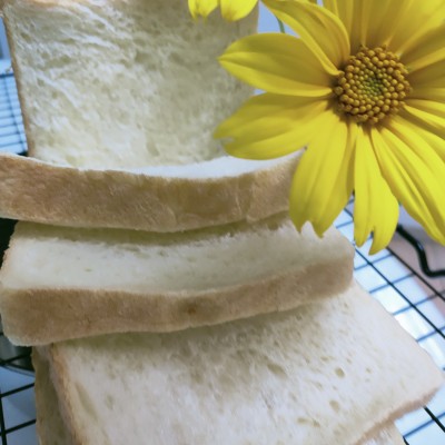 Sourdough Cottony Loaf