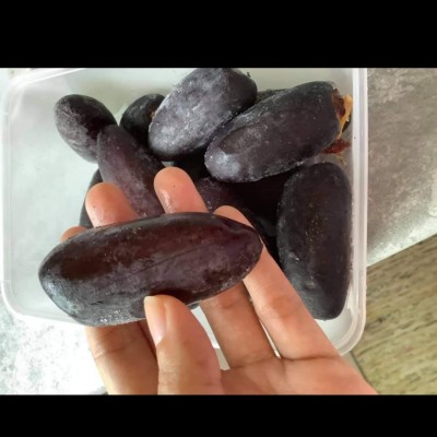 KURMA SEJUK SEGAR