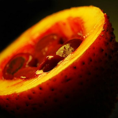 GAC FRUIT
