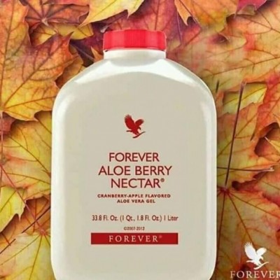 ALOE BERRY NECTAR