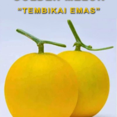 GOLDEN MELON