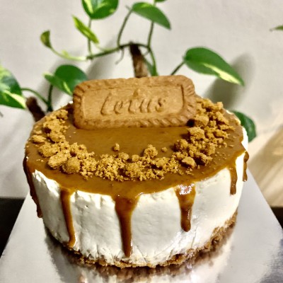 LOTUS CHILLED CHEESE CAKE