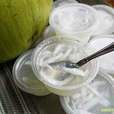 JELLY KELAPA MUDA/AIR KELAPA MUDA