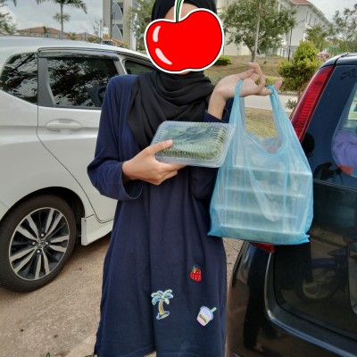 TAPAI PULUT DAUN GETAH