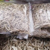 ikan bilis kopek sabah