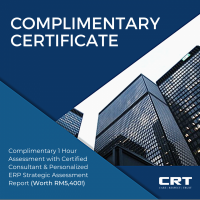 Free Business ERP Strategy Assessment & Personalized Report