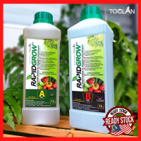 RapidGrow 2L Liquid -  Baja AB   Hidroponik   Fertigasi   Sayuran (1L A + 1L B)
