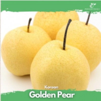 Korean Golden Pear (L) 4pcs