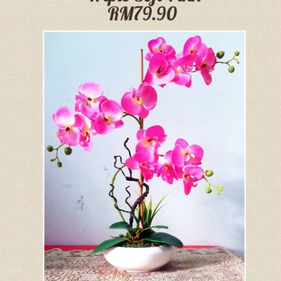 PINK ORKID