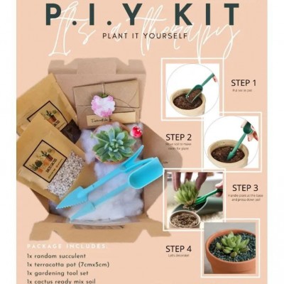 [P.I.Y kit] Plant It Yourself Cactus Succulent DIY Kit Set