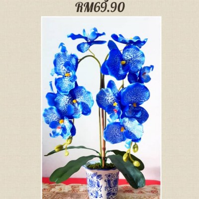 BLUE ORKID