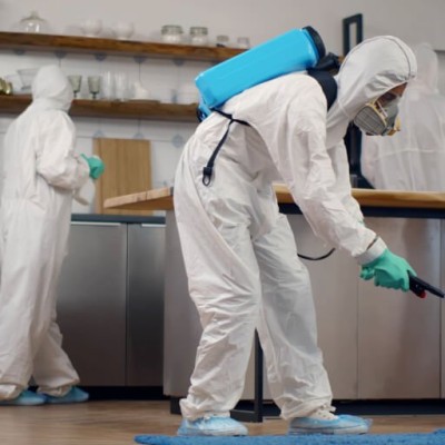 Pest Control Service