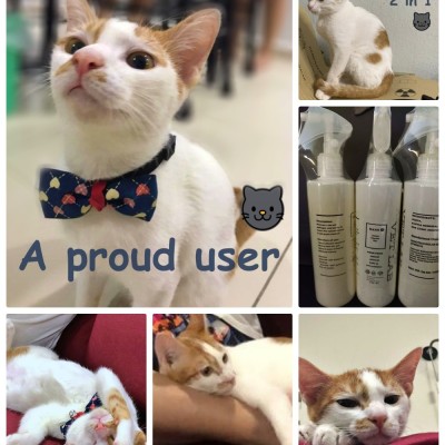VET-LAB Nano Zinc