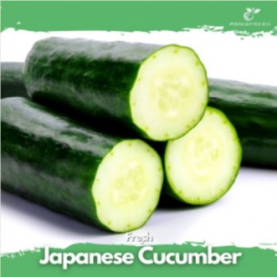 Japanese Cucumber 3pcs