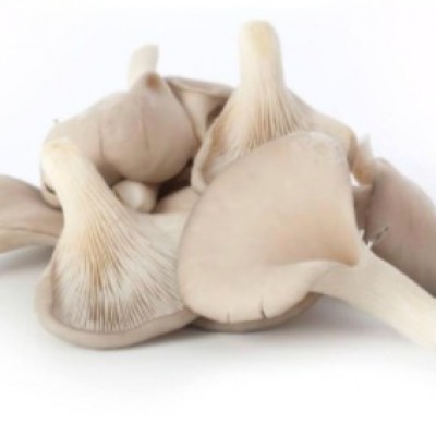 Grey Oyster Mushroom 200g
