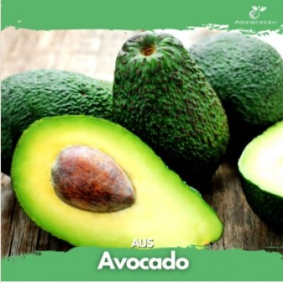 AUS Avocado 2pcs