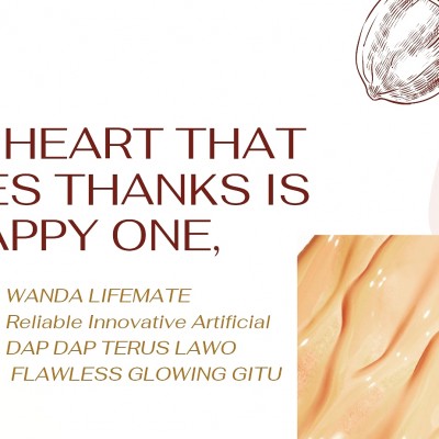 WANDA LIFEMATE CUSHION FOUNDATION