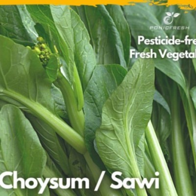 Hydroponic Choy Sum 150g