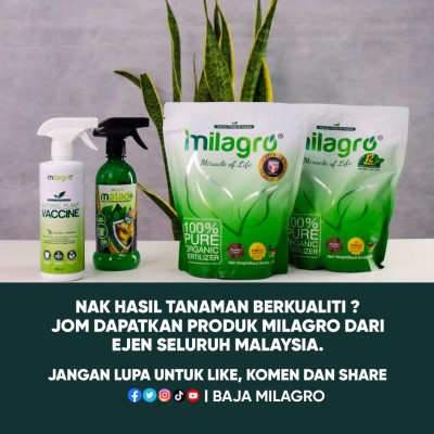 Baja Milagrow