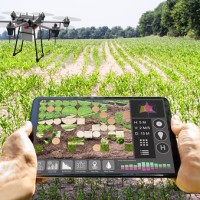 Pilot Services for Drones