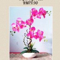 PINK ORKID