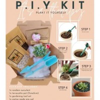 [P.I.Y kit] Plant It Yourself Cactus Succulent DIY Kit Set