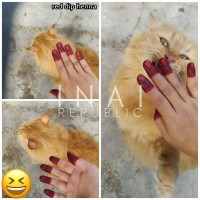 mini thumb
