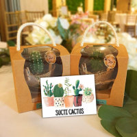Door Gift BOX Cactus Succulent Goodies Mini Pot in Woven Cloth Kain Guni Ribbon Lace Set Souvenir Cenderahati Party Pack