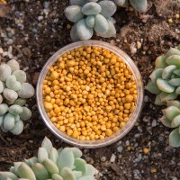 (500g) Osmocote Slow Release Fertilizer in Resealable Pack - Baja Organik CACTUS & SUCCULENT