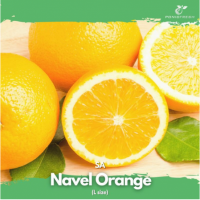 South Africa Navel Orange 5pcs