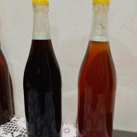 Madu Lebah (+-650ml)